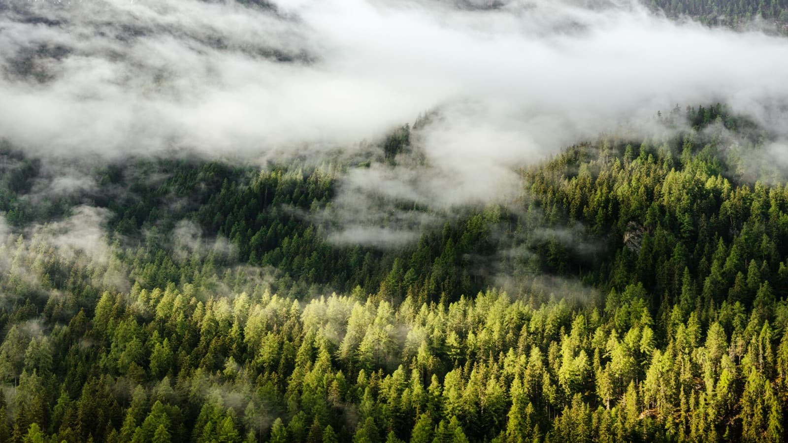 Ympäristöselosteet (EPD) Ympäristöselosteet (EPD)